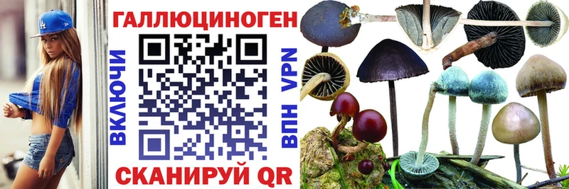 Галлюциногенные грибы мицелий  закладки  Уварово 